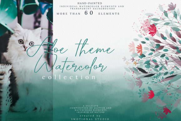 Aloe Theme Watercolor Collection High: Illustrations Review