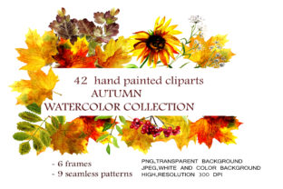 Autumn Watercolor Collection Illustrations Review