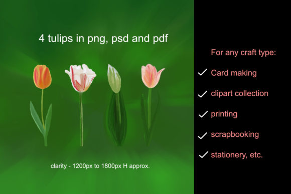 Floral Collection Watercolor Tulips Review