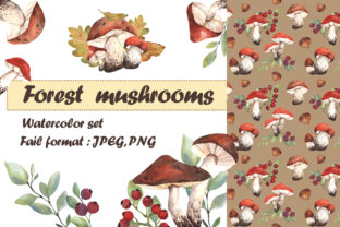 Forest Mushrooms Watercolor Set Illustrations