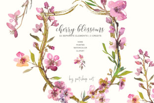 Hand Painted Watercolor Cherry Blossoms Illustrations