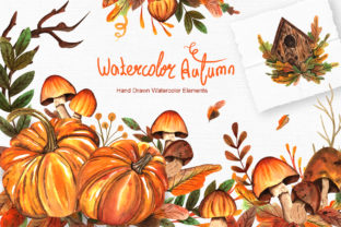 Watercolor Autumn Collection: Illustrations Review