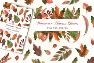 Watercolor Autumn Leaves Illustrations Review