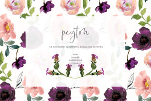 Watercolor Blush Pink MauveFlowers Illustrations
