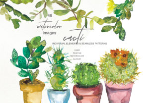 Watercolor Cactus Clip Art Collection & Illustrations