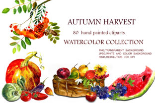 Watercolor Collection Autumn Harvest Illustrations