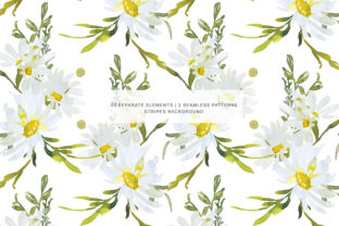 Watercolor Daisy Clip Art & Illustrations Review