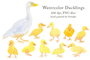 Watercolor Duck with Ducklings, Country Illustrations