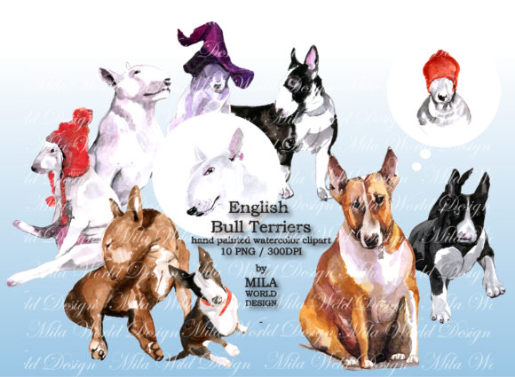 Watercolor English Bull Terriers Clip Art Review