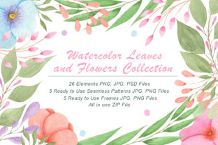 Watercolor Flowers and Leaves Illustrations Review