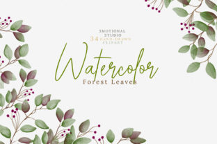Watercolor Forest Leaves Illustrations Review