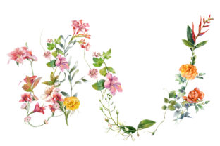 Watercolor Painting Flowers & Illustrations