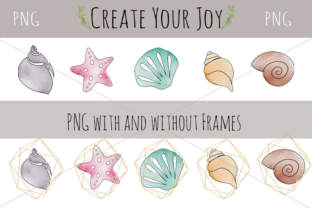 Watercolor Seashells Illustrations Review