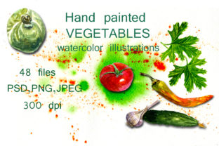 Watercolor Vegetable Illustrations for Branding