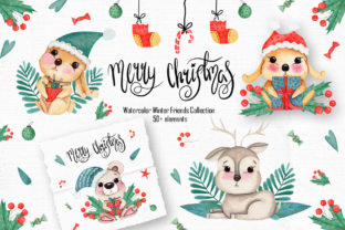 Watercolor Winter Friends: Illustrations Review