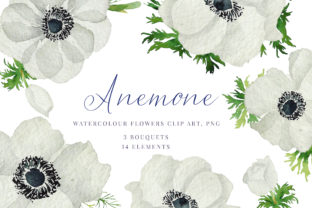 Watercolour Anemone Illustrations Review