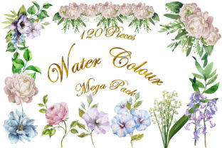 Watercolour Clipart Bundle: Brand Illustrations