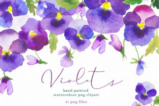 Watercolour Flower Violets Clipart & Illustrations