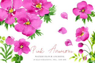 Watercolour Pink Anemones Illustrations