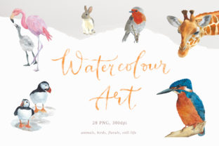 Watercolour Wall Art & Illustrations Review