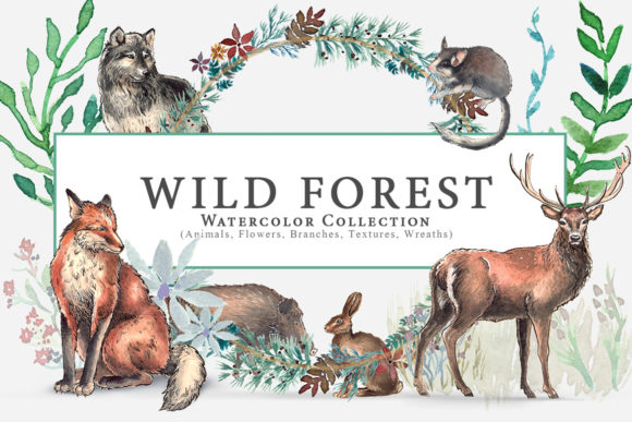 Wild Forest Watercolor Collection Illustrations